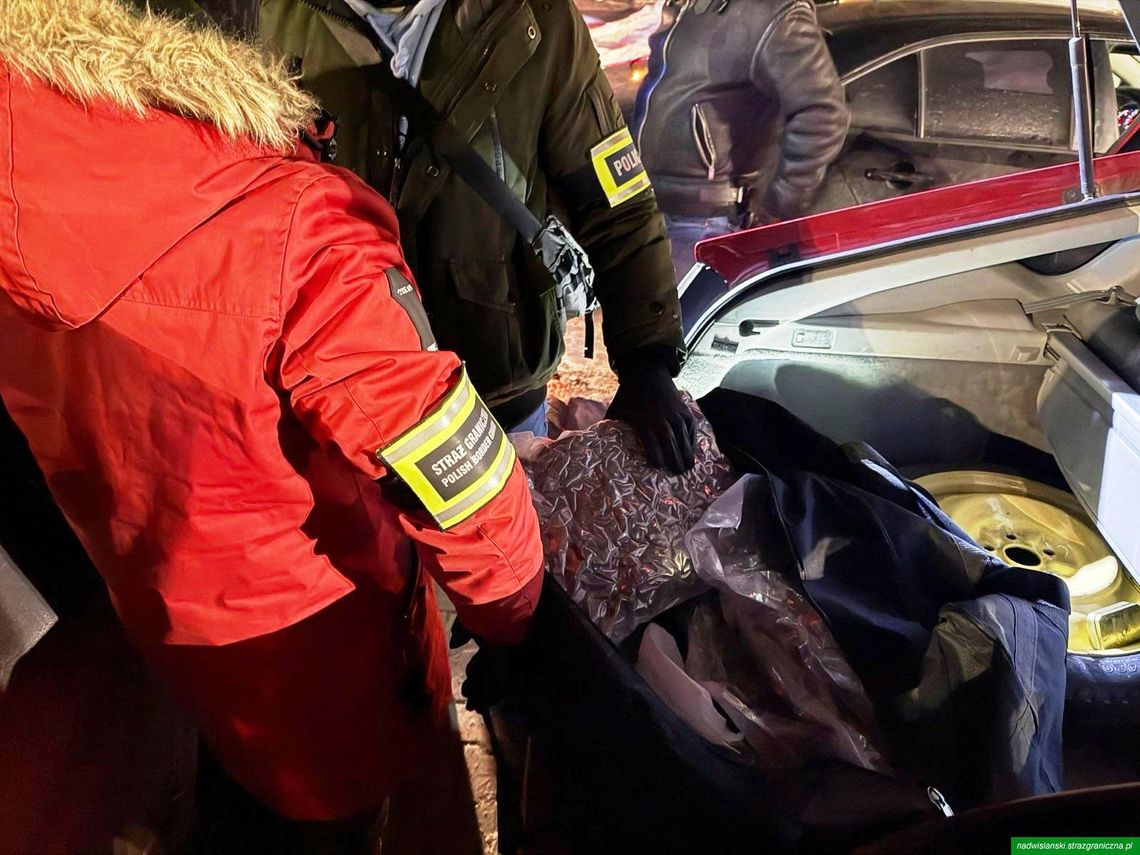 Zasadzka służb w centrum handlowym. Diler miał w bagażniku 5 kg marihuany i 55 tysięcy złotych Zasadzka służb w centrum handlowym. Diler miał w bagażniku 5 kg marihuany i 55 tysięcy złotych