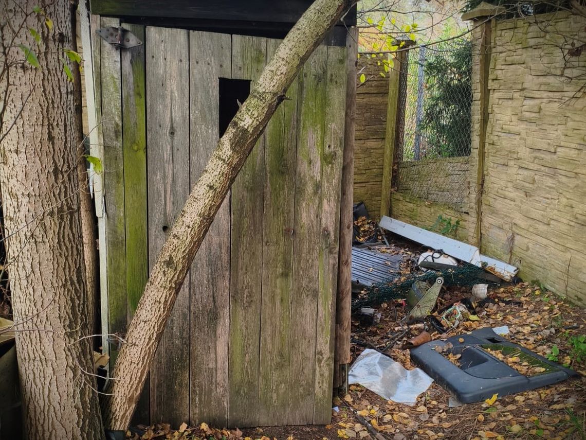 Zaskakujące odkrycie w... wychodku. 25-latek urządził w nim składzik marihuany Zaskakujące odkrycie w... wychodku. 25-latek urządził w nim składzik marihuany