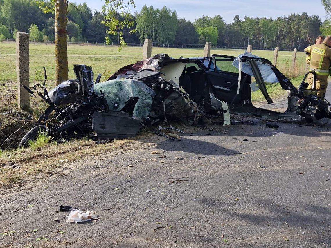 Zderzenie z łosiem zakończyło się tragedią. Nie żyje kierowca BMW. Pasażer w szpitalu