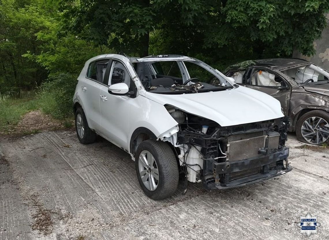 Zgłosił fikcyjną kradzież samochodu, policja odkryła dziuplę, w której pocięto go na części. Były też narkotyki w beczkach Zgłosił fikcyjną kradzież samochodu, policja odkryła dziuplę, w której pocięto go na części. Były też narkotyki w beczkach