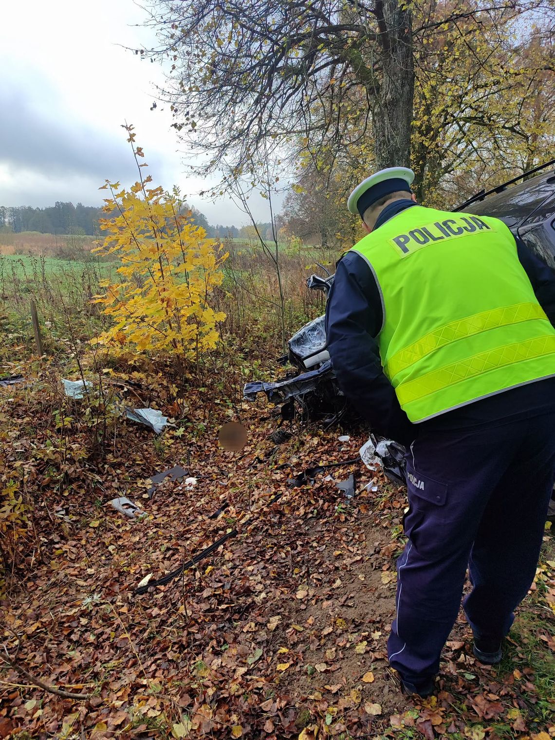 Zjechał na pobocze i uderzył czołowo w drzewo. Kierowca Volkswagena zginął na miejscu