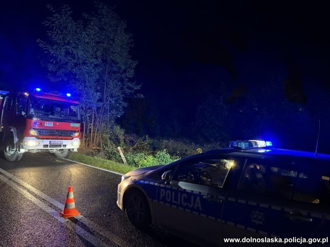 Zjechała z drogi i dachowała. Kobieta zginęła na miejscu. Dziecko trafiło do szpitala