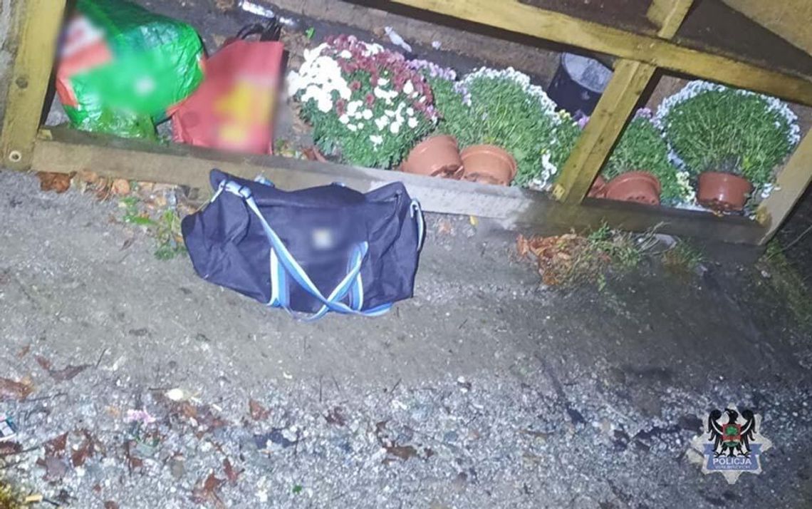 Złodzieje chryzantem wpadli na gorącym uczynku. Zniknęło 39 donic. Część zdążyli sprzedać Złodzieje chryzantem wpadli na gorącym uczynku. Zniknęło 39 donic. Część zdążyli sprzedać