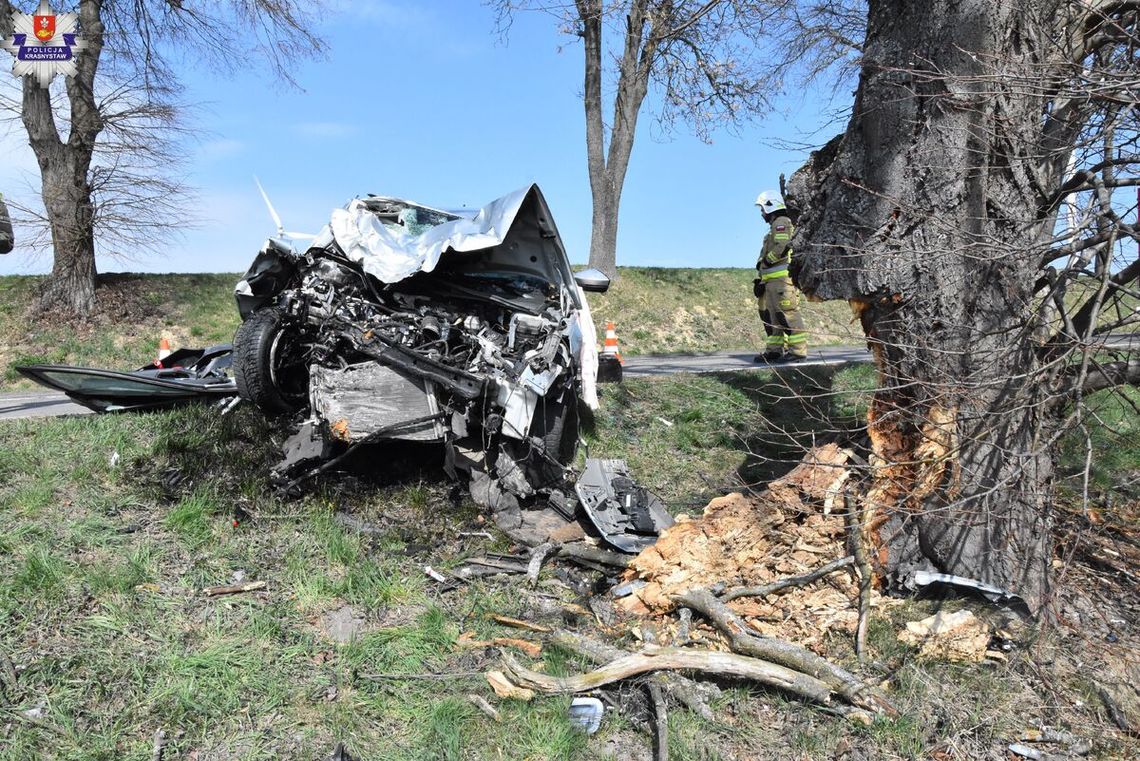 Zmiażdżone auto i wyrwany kawałek pnia. Siła uderzenia była ogromna. Kierowca w szpitalu
