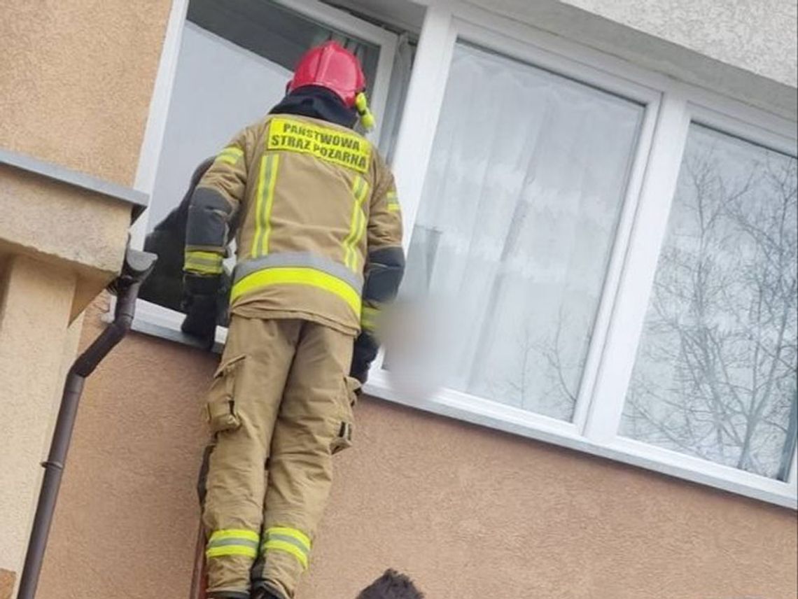 Zostawili 5-letnie dziecko same w domu i poszli do pracy. Zapłakany chłopiec stał w oknie