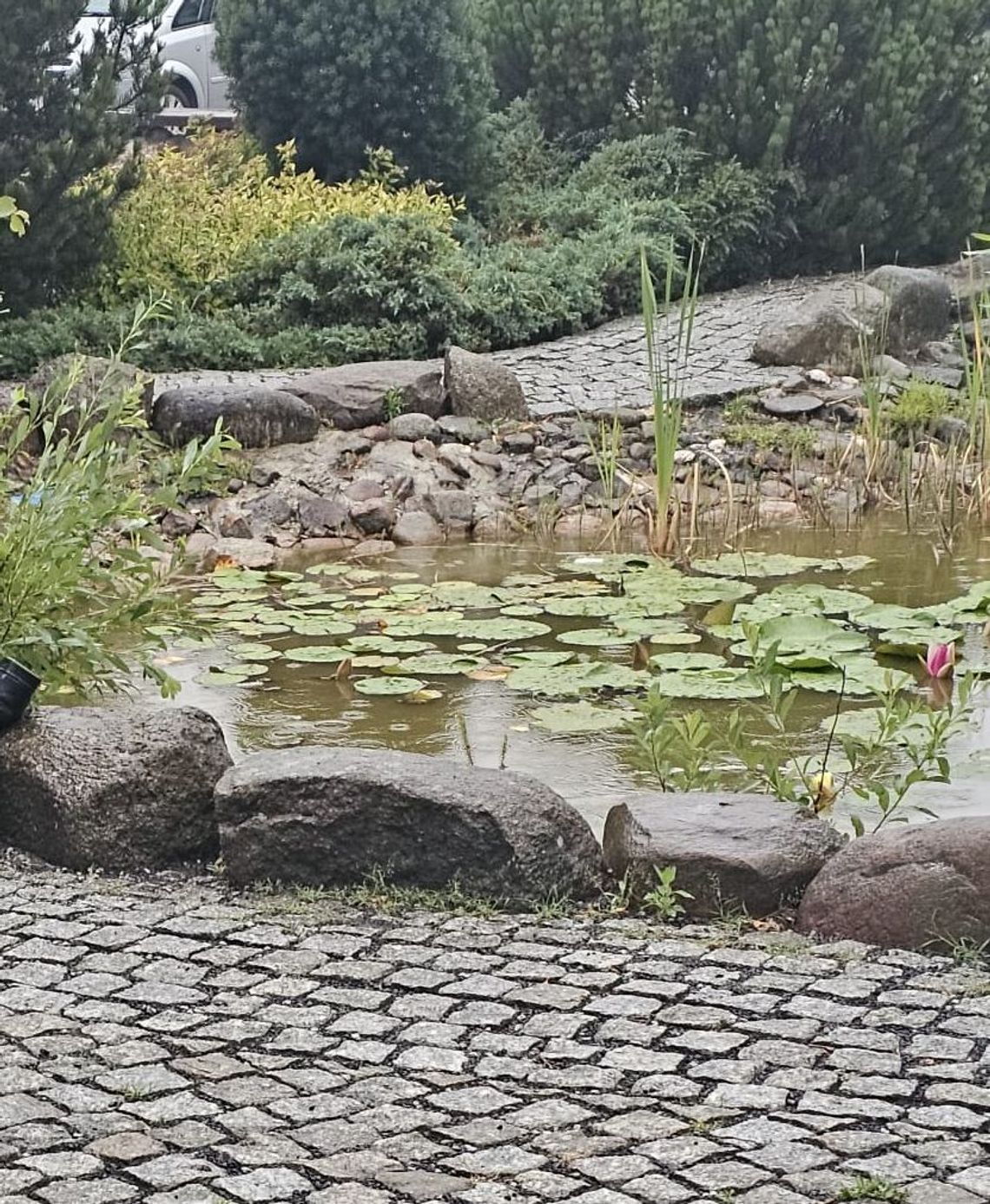 Zwłoki mężczyzny w oczku wodnym przy hotelu. Policjanci wyjaśniają okoliczności śmierci 36-latka