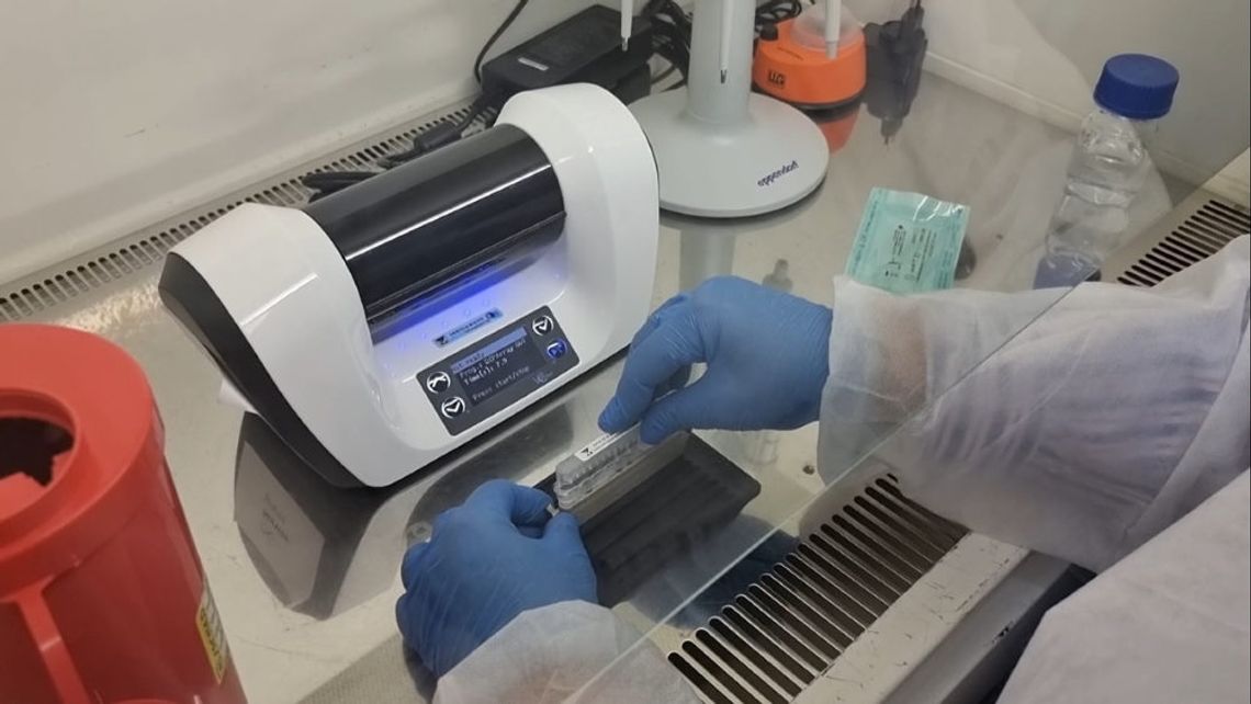 Zwyrodnialec zatrzymany blisko 20 lat po ataku na kobietę. Zgubiły go pozostawione ślady DNA Zwyrodnialec zatrzymany blisko 20 lat po ataku na kobietę. Zgubiły go pozostawione ślady DNA