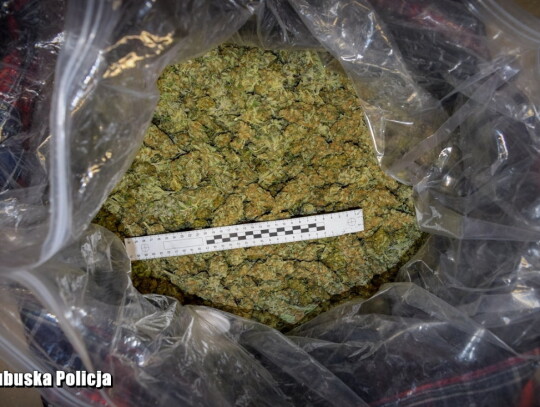 marihuana nowa sol droga S3 1