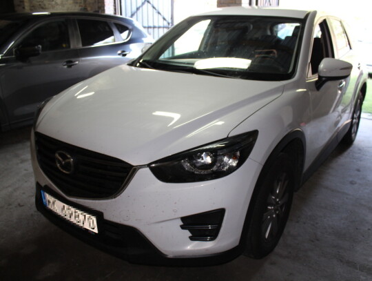 dziupla samochodowa (2)