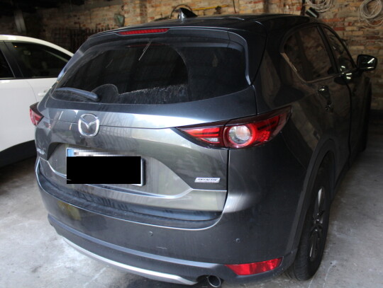 dziupla samochodowa (3)