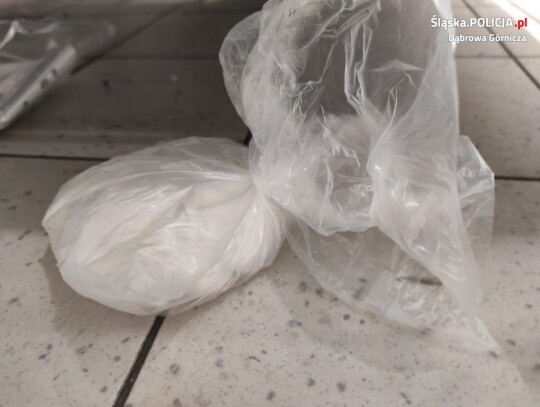 diler policja (6) diler policja (6)