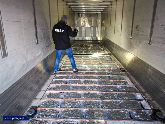 marihuana przemyt w kalafiorach 1