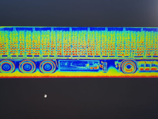 marihuana przemyt w kalafiorach 4