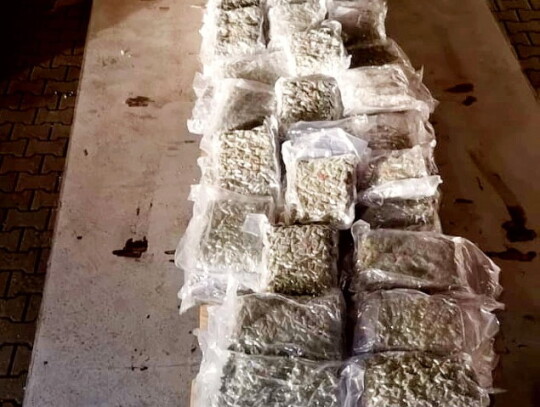 marihuana przemyt w kalafiorach 6