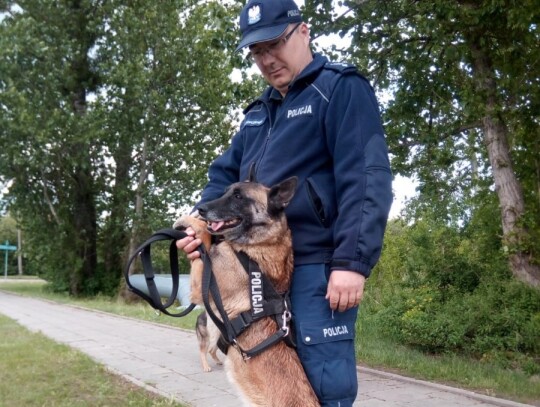 lomza diler marihuana 1