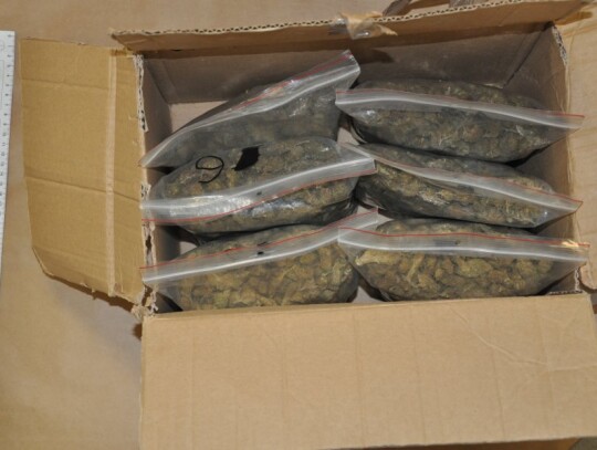 lomza diler marihuana 3