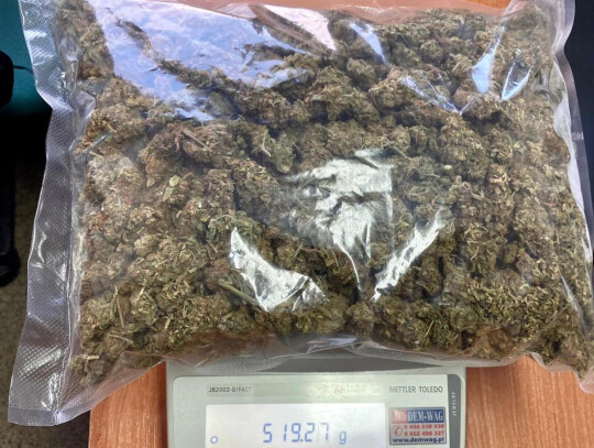 bydgoszcz marihuana 2