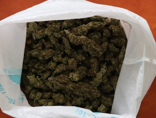 bedzin sosnowiec marihuana