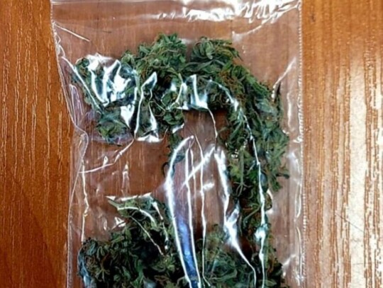 bielsk podlaski marihuana 1