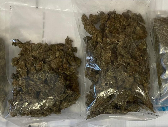 kepno renault narkotyki 1