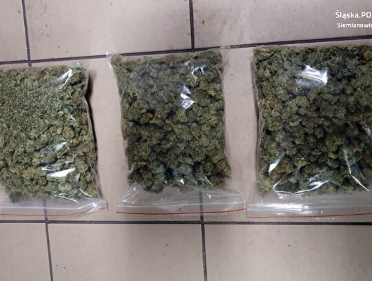 siemianowice bedzin marihuana diler