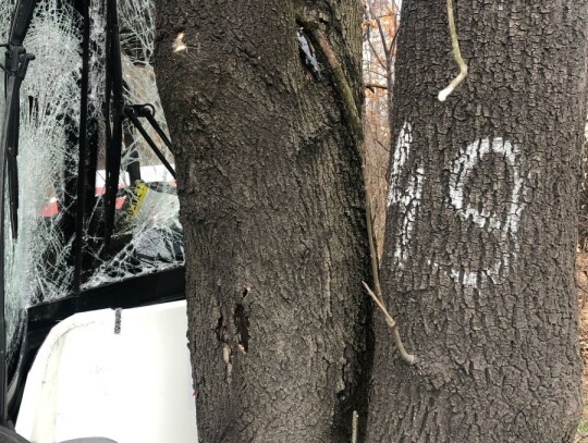 jastrzebie zdroj wypadek autobusu 5