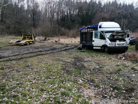 zabkowice slaskie kradzieze samochodow 11