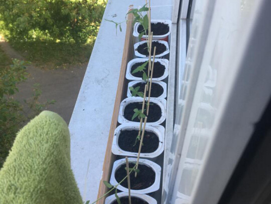 bracia dilerzy warszawa 2