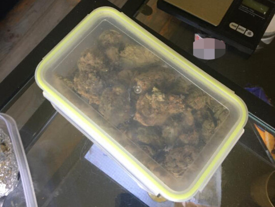 bracia dilerzy warszawa 6