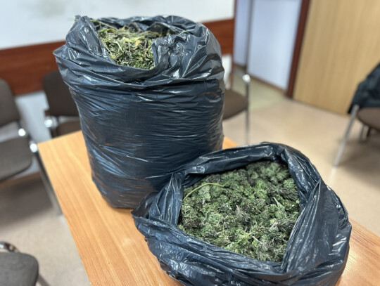 ostrow wielkopolski marihuana 4