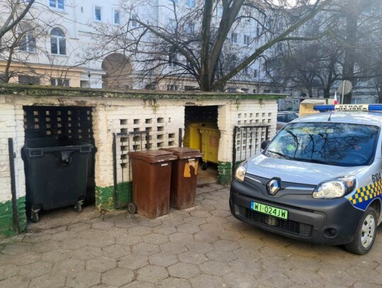 2023_03_krolik_nowolipki_03