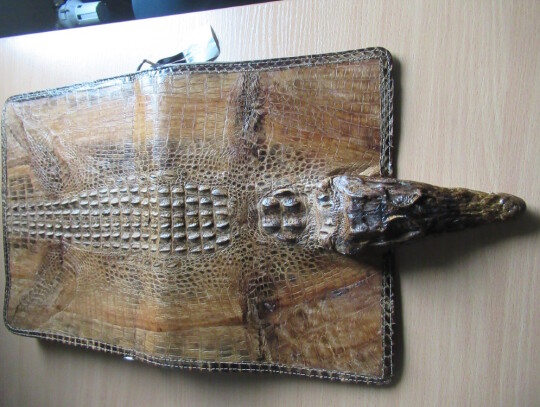 korczowa torba z krokodyla przemyt 2
